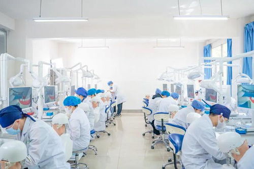 医药初印象 一起揭秘云医药的实验室与医药教学器材