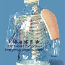 2019年医药教学器材价格与批发行情分析 第40页关注要点