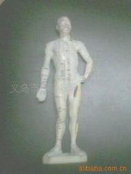 医药教学器材批发 如何对接可靠的厂家货源与核心供应信息