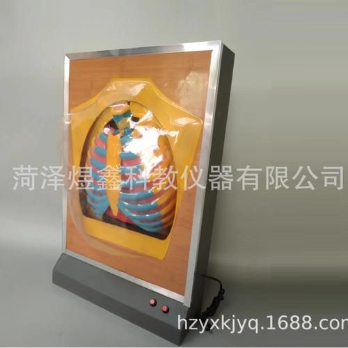 中国商品代购与淘集运 聚焦医药教学器材的专业通道